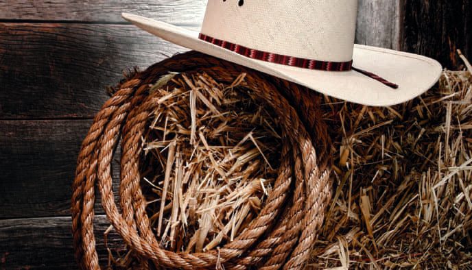 themafeesten-cowboy-1024×395