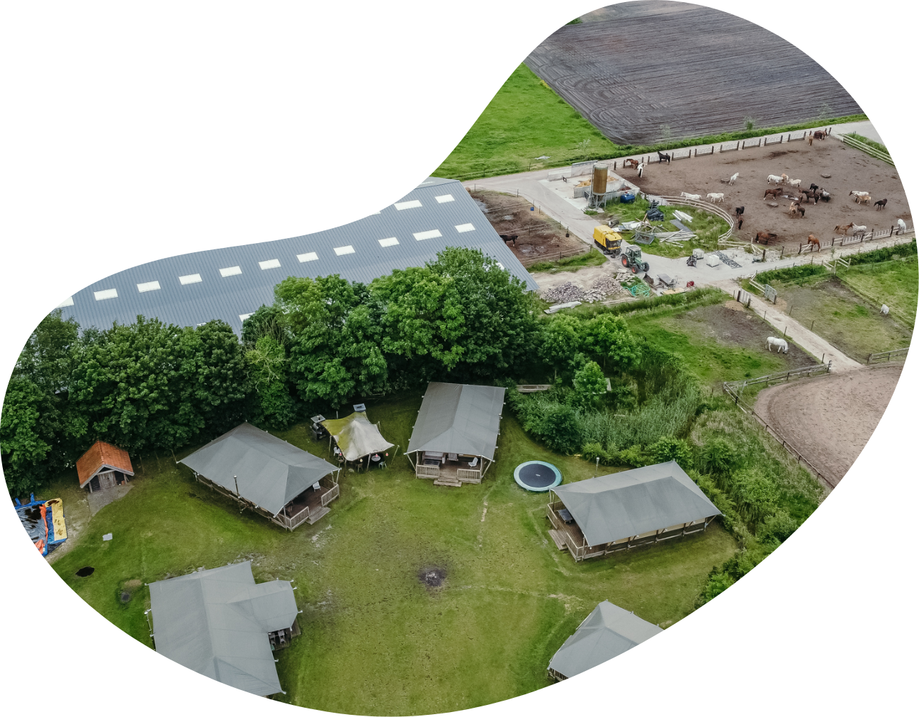 Activiteiten_Home_Zakelijk