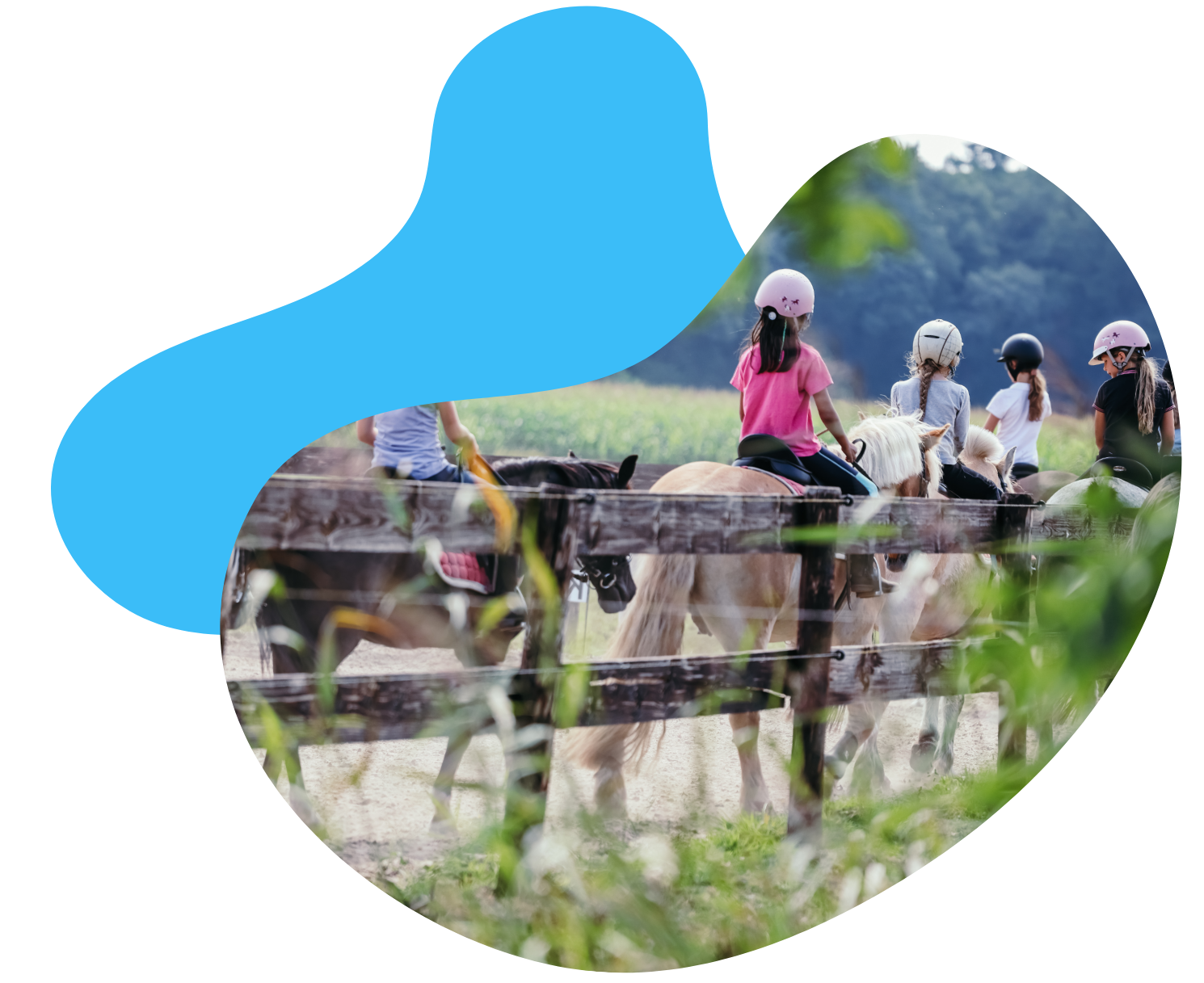 FAQ_Ponykamp_KleinOever