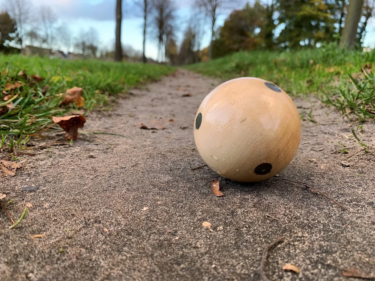 Klootschietmateriaal_kopen_ballen_hout_klootschietbal_goedkoop-2.jpg