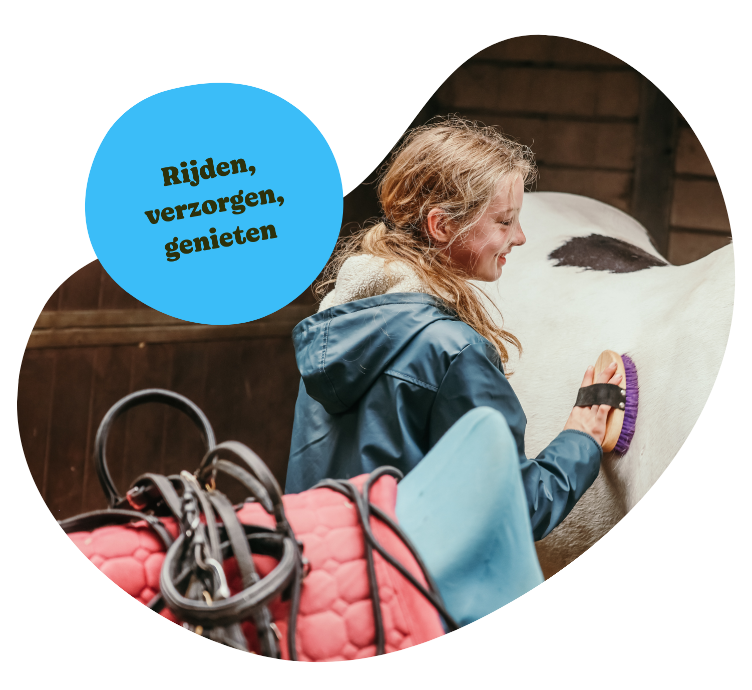 Lessen_Paardrijden_KleinOever