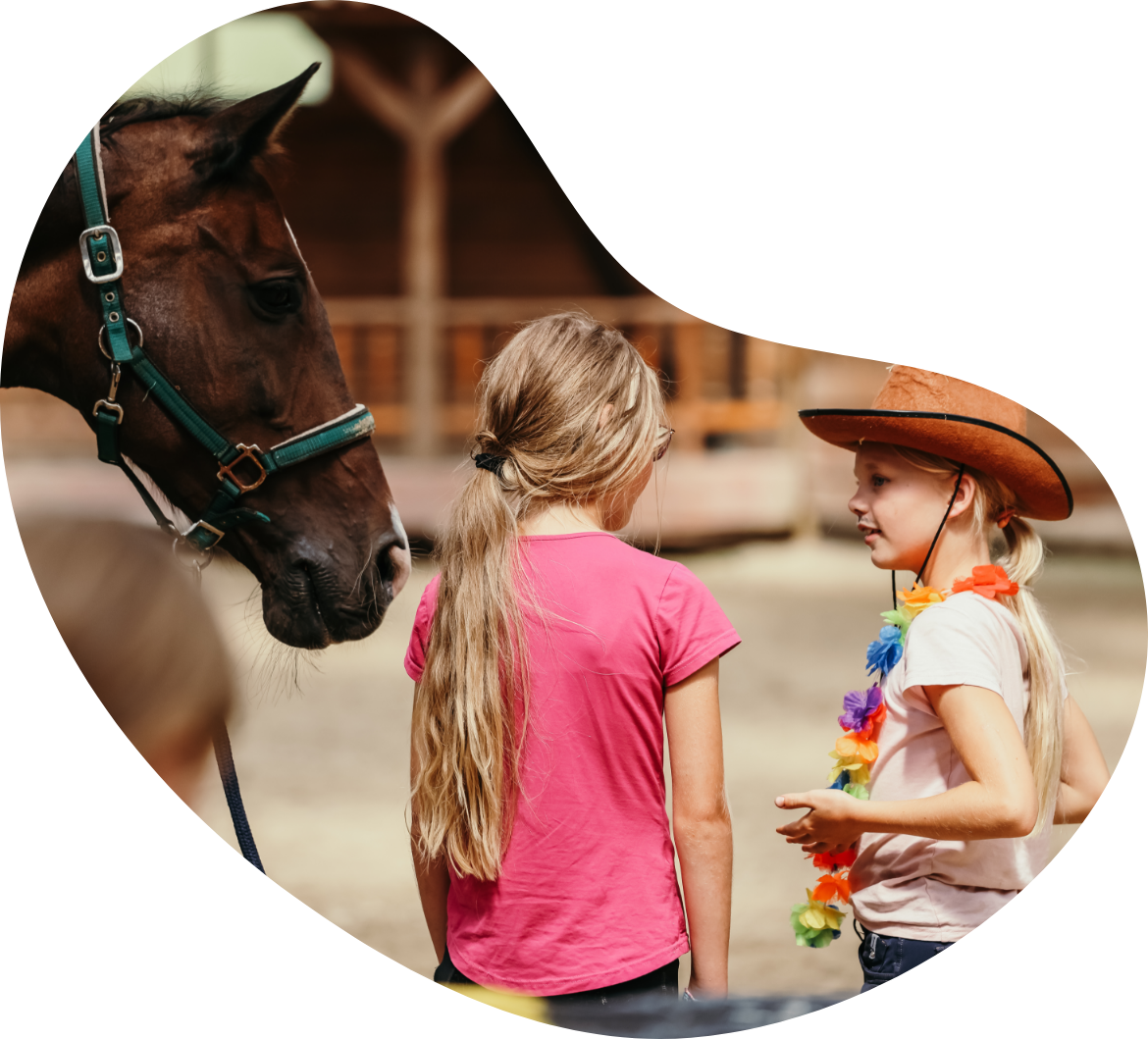 Binnenbak_Ponykamp